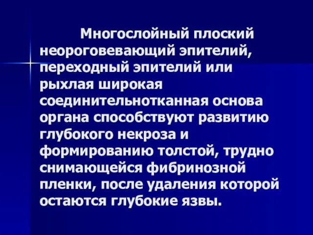 Многослойный плоский неороговевающий эпителий, переходный эпителий или рыхлая широкая соединительнотканная