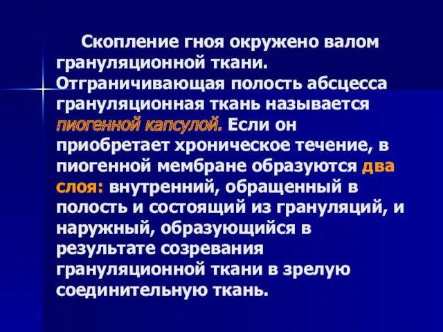 Скопление гноя окружено валом грануляционной ткани. Отграничивающая полость абсцесса грануляционная