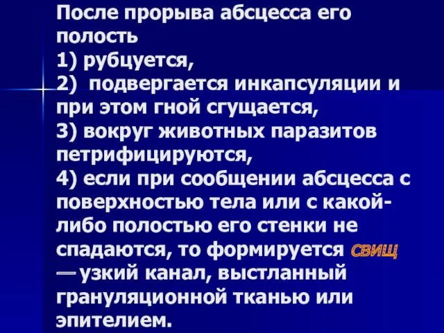 После прорыва абсцесса его полость 1) рубцуется, 2) подвергается инкапсуляции