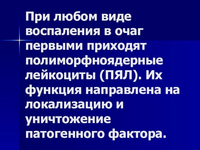 При любом виде воспаления в очаг первыми приходят полиморфноядерные лейкоциты (ПЯЛ). Их функция