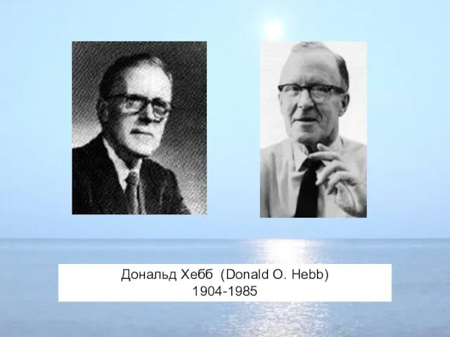 Дональд Хебб (Donald O. Hebb) 1904-1985