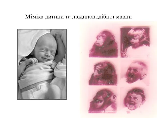 Міміка дитини та людиноподібної мавпи