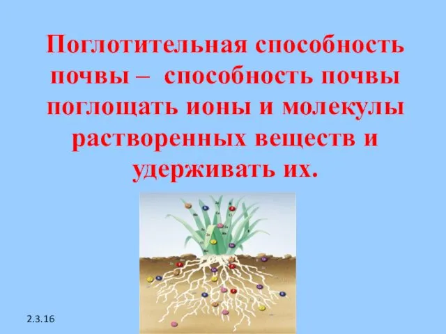 2.3.16 Поглотительная способность почвы – способность почвы поглощать ионы и молекулы растворенных веществ и удерживать их.