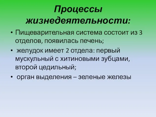 Процессы жизнедеятельности: Пищеварительная система состоит из 3 отделов, появилась печень;