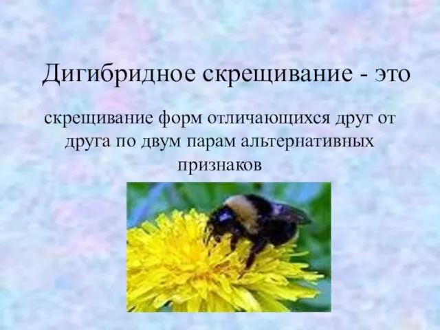 Дигибридное скрещивание - это скрещивание форм отличающихся друг от друга по двум парам альтернативных признаков