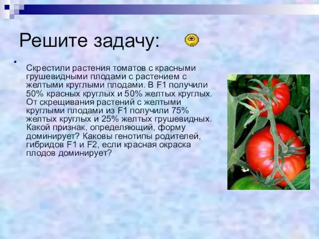 Решите задачу: Скрестили растения томатов с красными грушевидными плодами с
