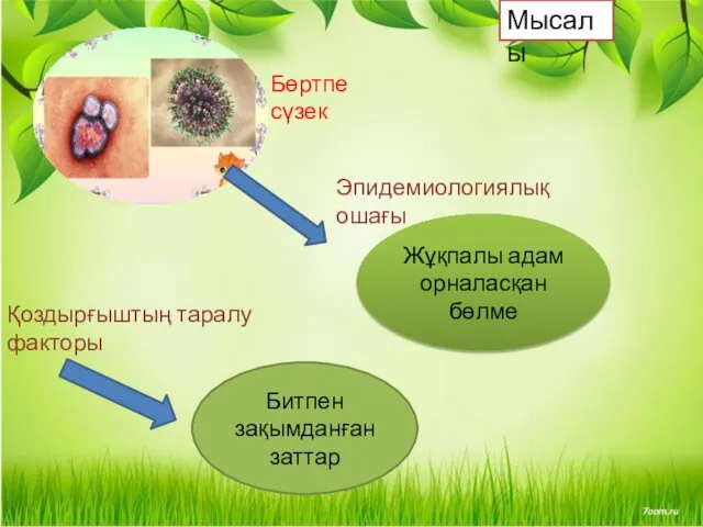 Бөртпе сүзек Эпидемиологиялық ошағы Жұқпалы адам орналасқан бөлме Қоздырғыштың таралу факторы Битпен зақымданған заттар Мысалы