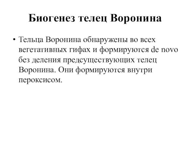 Биогенез телец Воронина Тельца Воронина обнаружены во всех вегетативных гифах