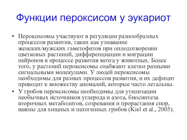 Функции пероксисом у эукариот Пероксисомы участвуют в регуляции разнообразных процессов