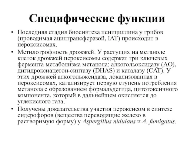 Специфические функции Последняя стадия биосинтеза пенициллина у грибов (проводимая ацилтрансферазой,