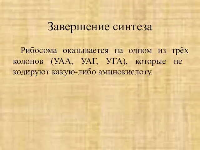 Завершение синтеза Рибосома оказывается на одном из трёх кодонов (УАА, УАГ, УГА), которые