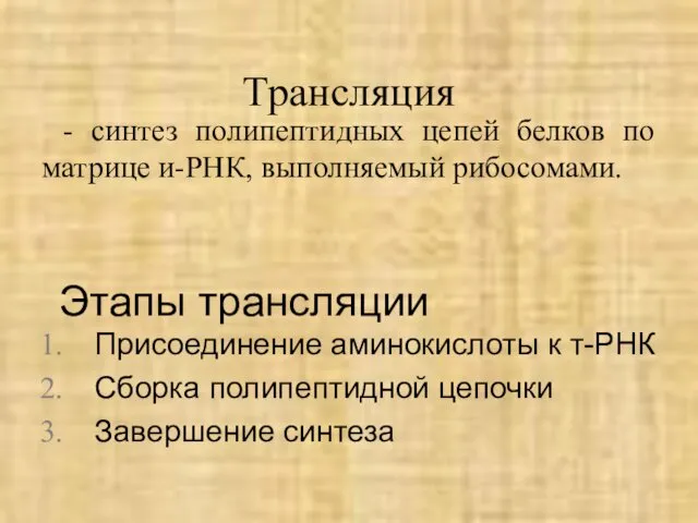 Трансляция - синтез полипептидных цепей белков по матрице и-РНК, выполняемый рибосомами. Этапы трансляции