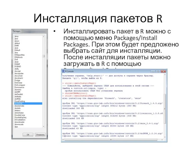 Инсталляция пакетов R Инсталлировать пакет в R можно с помощью