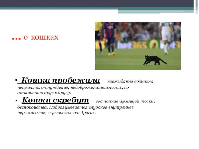 … о кошках Кошка пробежала – неожиданно возникла неприязнь, отчуждение, недоброжелательность, по отношению