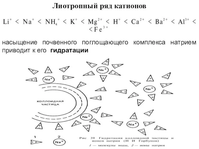 Лиотропный ряд катионов насыщение почвенного поглощающего комплекса натрием приводит к его гидратации