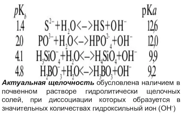 Актуальная щелочность обусловлена наличием в почвенном растворе гидролитически щелочных солей,