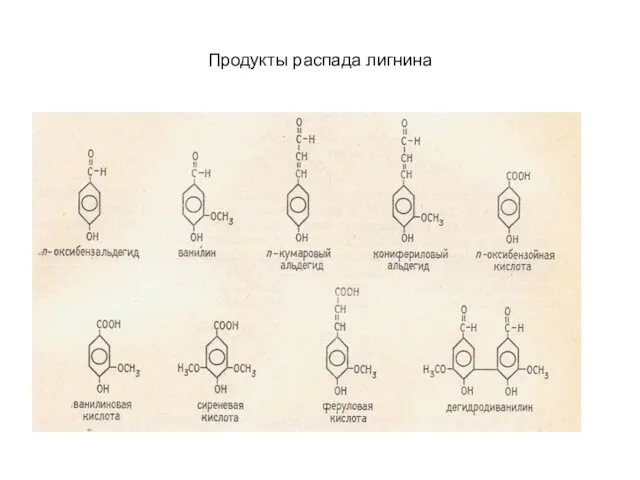 Продукты распада лигнина