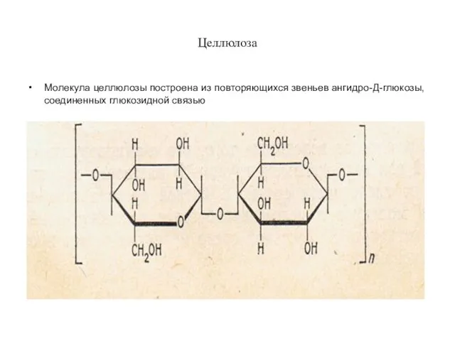 Целлюлоза Молекула целлюлозы построена из повторяющихся звеньев ангидро-Д-глюкозы, соединенных глюкозидной связью