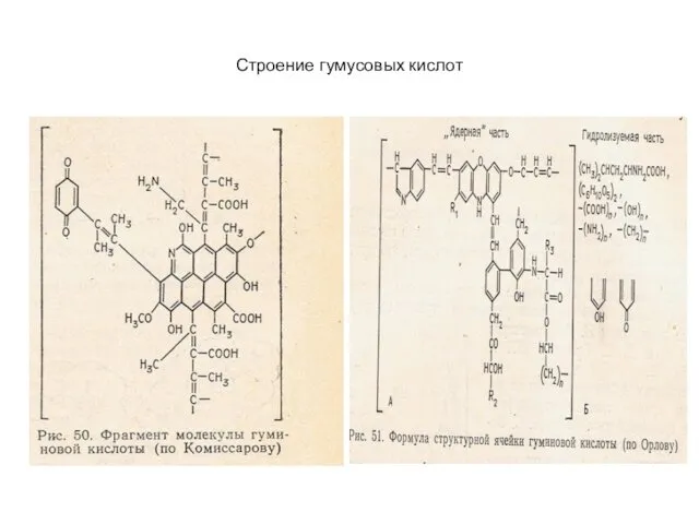 Строение гумусовых кислот