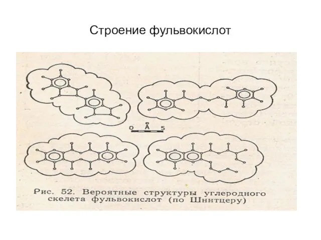 Строение фульвокислот