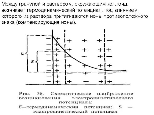 Между гранулой и раствором, окружающим коллоид, возникает термодинамический потенциал, под