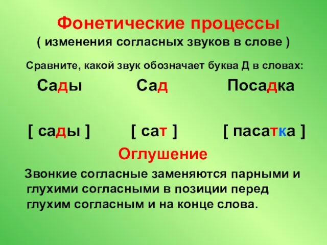 Фонетические процессы ( изменения согласных звуков в слове ) Сравните,