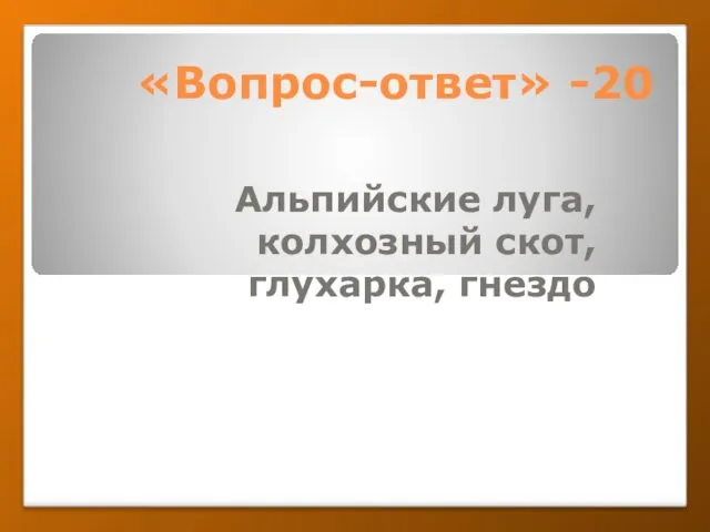 «Вопрос-ответ» -20 Альпийские луга, колхозный скот, глухарка, гнездо