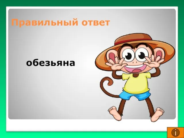 Правильный ответ обезьяна