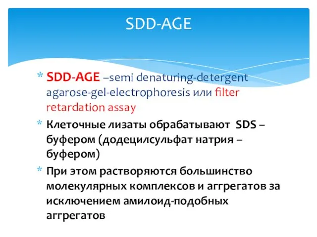 SDD-AGE –semi denaturing-detergent agarose-gel-electrophoresis или filter retardation assay Клеточные лизаты обрабатывают SDS –