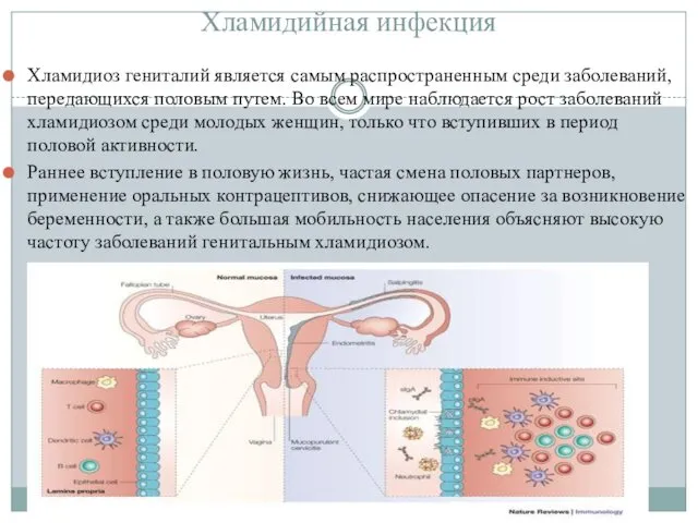 Хламидийная инфекция Хламидиоз гениталий является самым распространенным среди заболеваний, передающихся