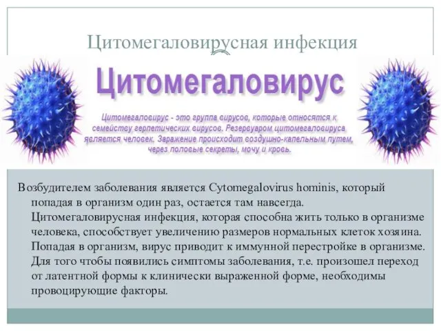 Цитомегаловирусная инфекция Возбудителем заболевания является Cytomegalovirus hominis, который попадая в