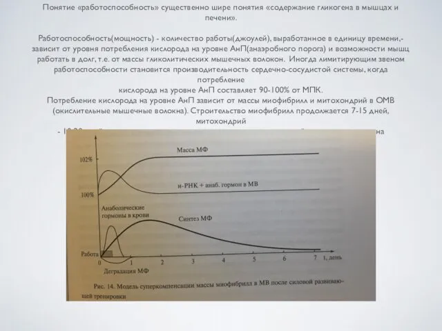 Понятие «работоспособность» существенно шире понятия «содержание гликогена в мышцах и