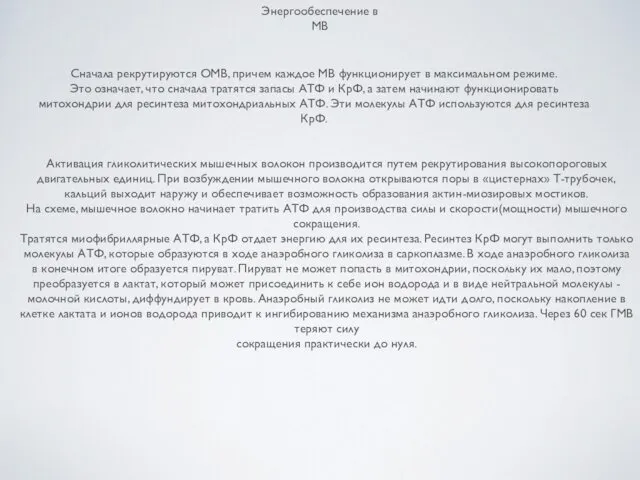 Энергообеспечение в МВ Сначала рекрутируются ОМВ, причем каждое МВ функционирует