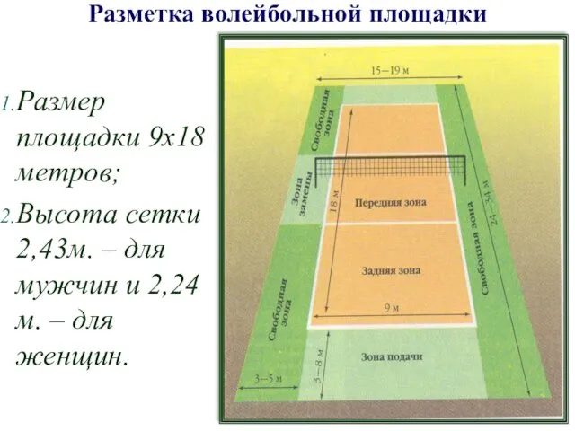 Размер площадки 9х18 метров; Высота сетки 2,43м. – для мужчин