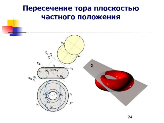 Пересечение тора плоскостью частного положения Σ