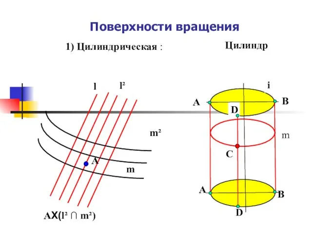 Поверхности вращения 1) Цилиндрическая : l m A l² m²