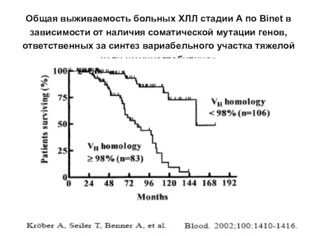 Общая выживаемость больных ХЛЛ стадии А по Binet в зависимости