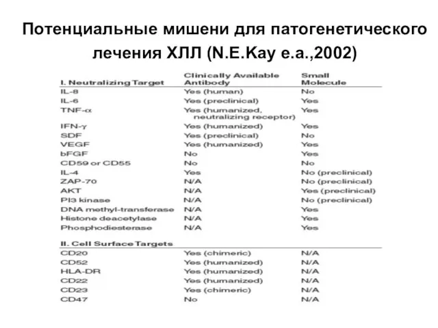 Потенциальные мишени для патогенетического лечения ХЛЛ (N.E.Kay e.a.,2002)