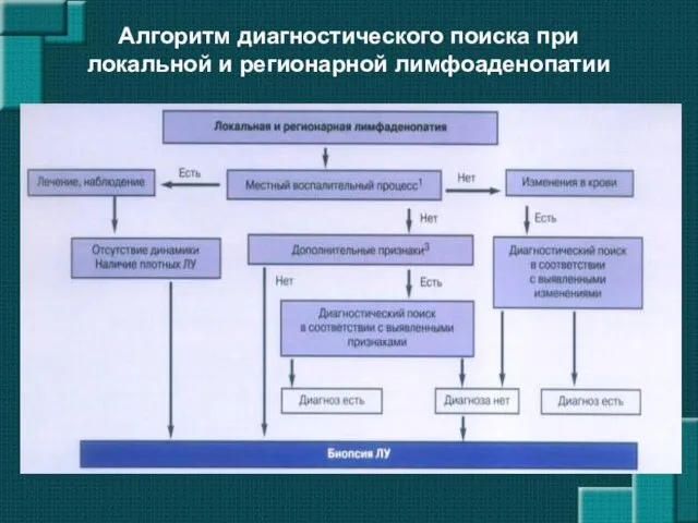 Алгоритм диагностического поиска при локальной и регионарной лимфоаденопатии