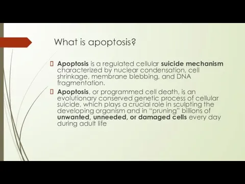 What is apoptosis? Apoptosis is a regulated cellular suicide mechanism