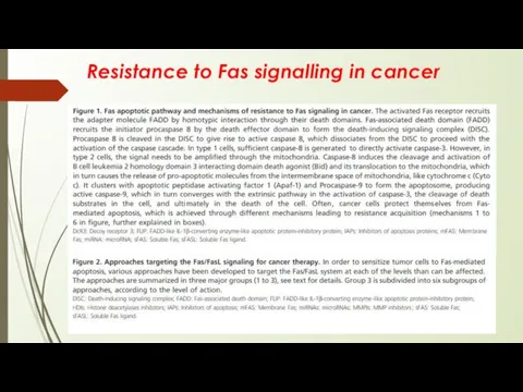 Resistance to Fas signalling in cancer