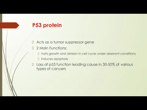 P53 protein Acts as a tumor suppressor gene 2 Main
