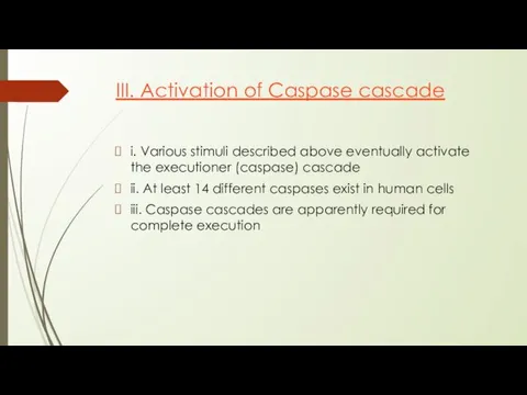 III. Activation of Caspase cascade i. Various stimuli described above