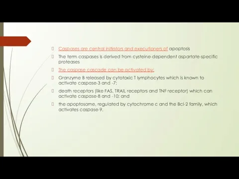 Caspases are central initiators and executioners of apoptosis The term