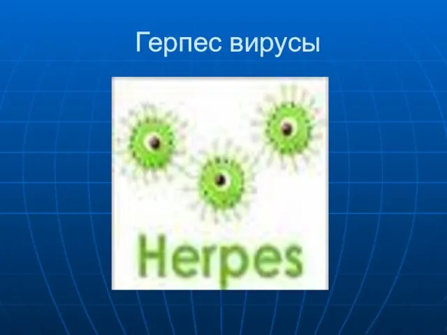 Герпес вирусы
