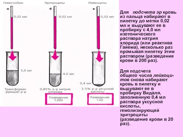 Для подсчета эр кровь из пальца набирают в пипетку до