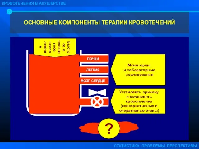 ОСНОВНЫЕ КОМПОНЕНТЫ ТЕРАПИИ КРОВОТЕЧЕНИЙ КРОВОТЕЧЕНИЯ В АКУШЕРСТВЕ СТАТИСТИКА. ПРОБЛЕМЫ. ПЕРСПЕКТИВЫ