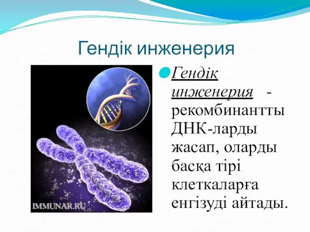 Гендік инженерия Гендік инженерия - рекомбинантты ДНК-ларды жасап, оларды басқа тірі клеткаларға енгізуді айтады.