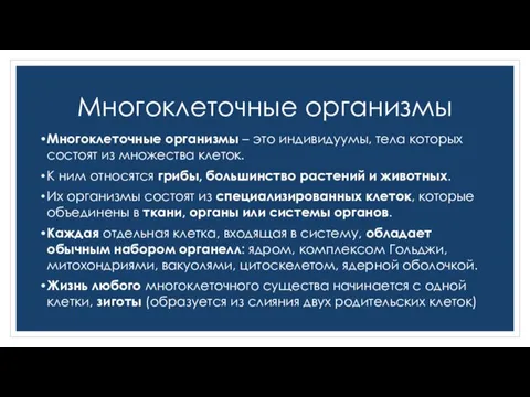 Многоклеточные организмы Многоклеточные организмы – это индивидуумы, тела которых состоят