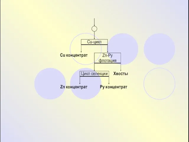 Cu-цикл Хвосты Cu концентрат Py концентрат Zn концентрат Zn-Py флотация Цикл селекции